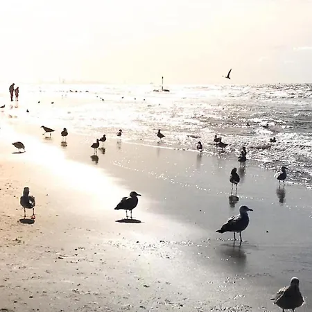 Modern In Near The Sea דירה *