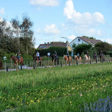 Апартаменты Modern In Near The Sea