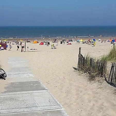Modern In Near The Sea * Noordwijk