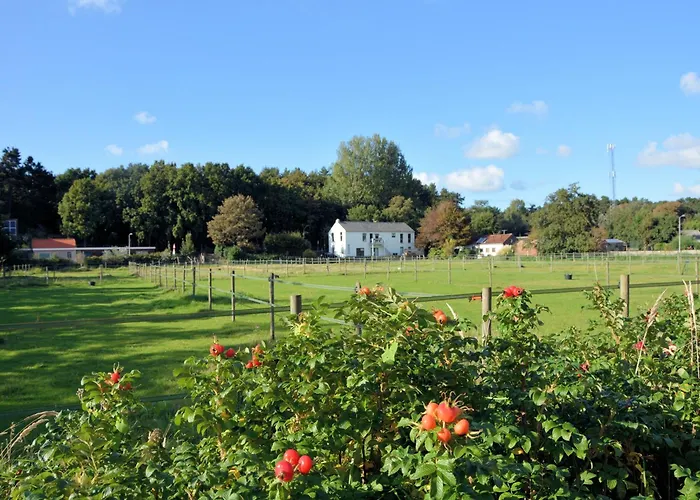 Apartment Modern In Near The Sea