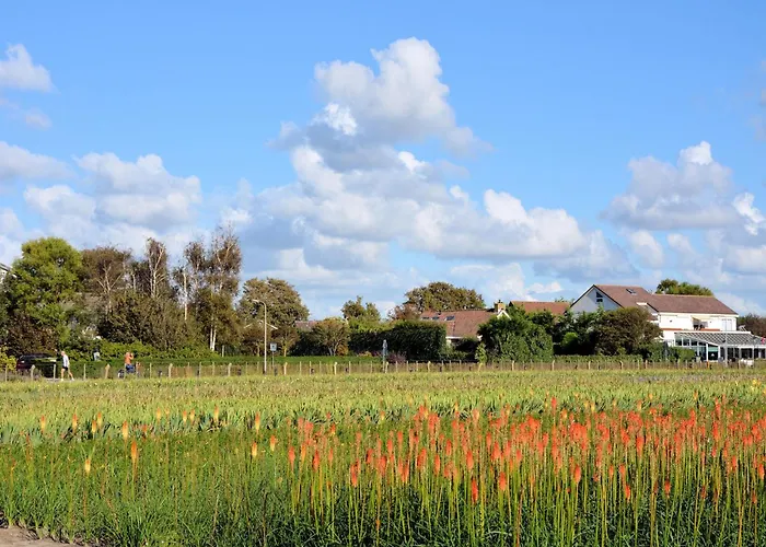 Modern In Near The Sea Noordwijk